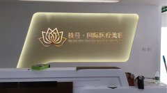 枝蔓国际医疗整形美容logo设计