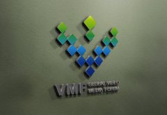 全球视频论坛组织logo欣赏