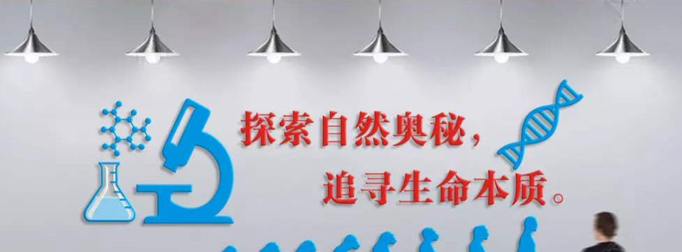 学校校园文化墙创意3d立体墙贴画阅览室图书馆